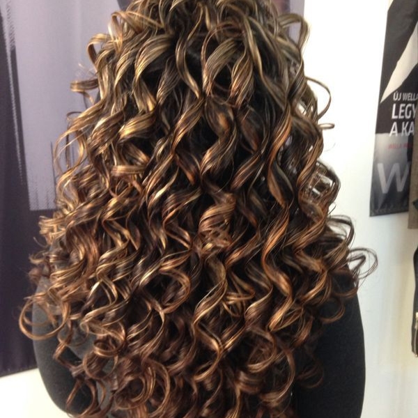 Honey Brown Highlights Curly Hair