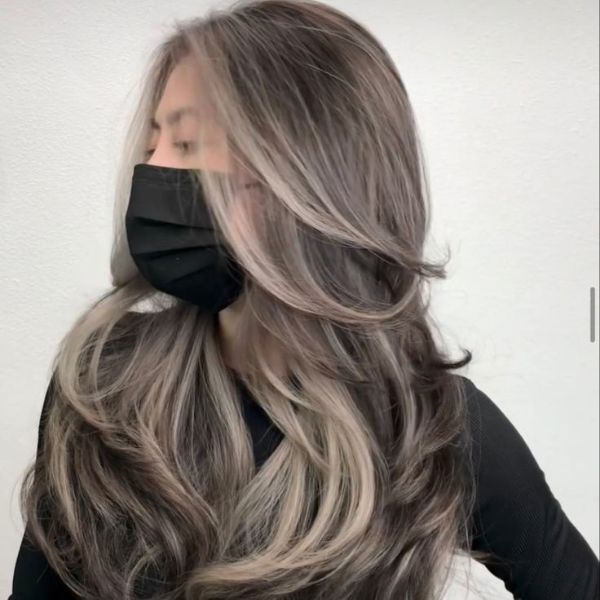 Garnier hair color ash gray