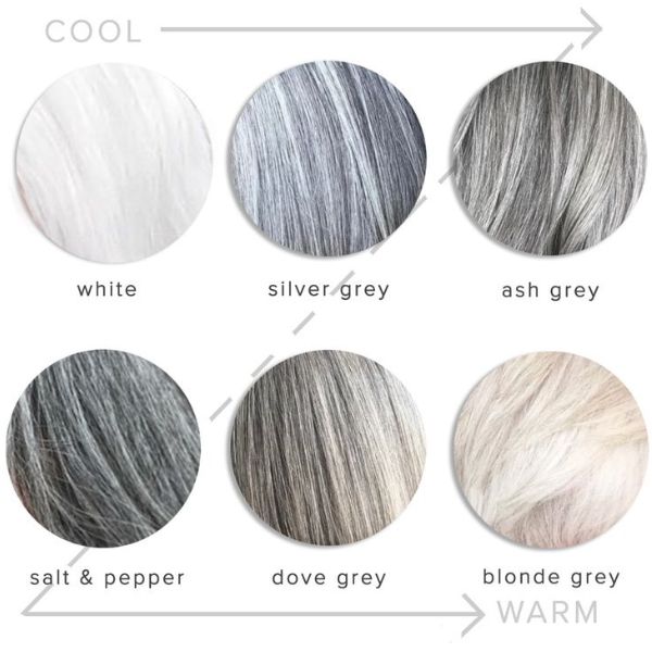 ash gray hair color chart